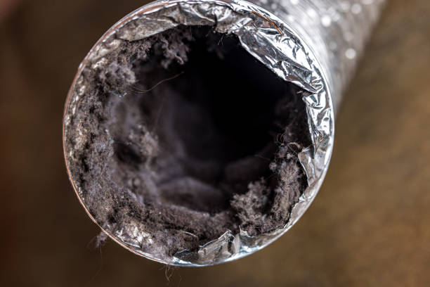 Best Best Air Duct Cleaning Company  in Converse, TX