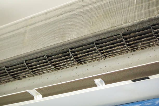 Best HVAC Maintenance and Cleaning  in Converse, TX